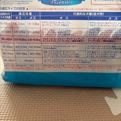 マナーウェア 長時間 オムツ Sサイズ 10枚の画像
