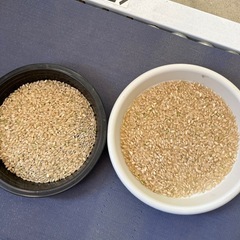 新米　あいちのかおり　30kg玄米　1袋18,000円の画像