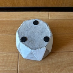 鉢/ポットの画像