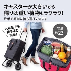 KAKARL カカール　ショッピングカートの画像