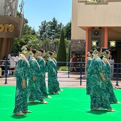 フラダンスで免疫力アップ【体験無料】千葉市中央区の画像