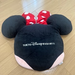 東京ディズニーランド　平たいぬいぐるみの画像