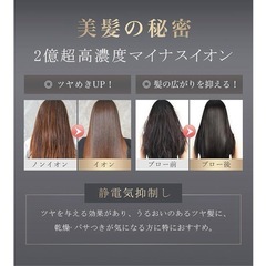【新品】ANLAN ダブルケアドライヤーSE 速乾 大風量 軽量 の画像