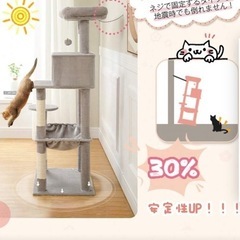 キャットタワーの画像