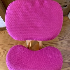 キッズ用プロポーションチェア　学習用椅子　バランスチェア　調整用パッド付きの画像