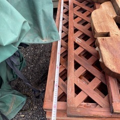 受け渡し者決定しました。　　ラティス&足の画像