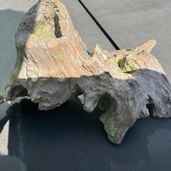 人工水草5点と城型装飾品2点　レンガ筒　流木型の画像