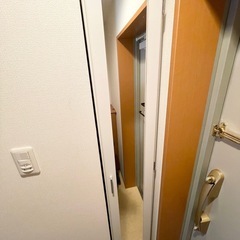 姿見付きスリム靴箱(白)の画像