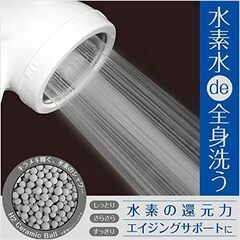 【処分特価】　水素水シャワーヘッド　【1個限り】の画像