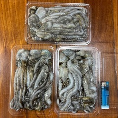 シガヤー500g(1500円)1kg(2500円)の画像