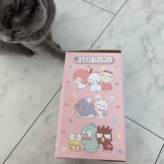 サンリオ　ランタン　ランプ
の画像