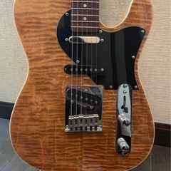 Aria pro2ボディ Bacchusネック テレキャスター ナッシュビル コンポーネントの画像