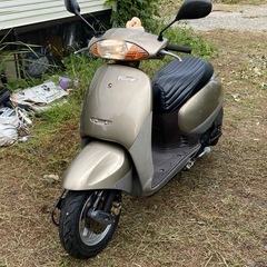 ホンダ50
の画像