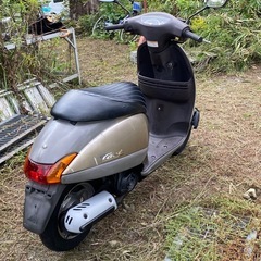 ホンダ50
の画像