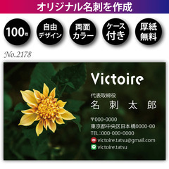 名刺印刷 100枚 両面 フルカラー 紙ケース付 No.2…