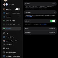 ipad mini a17pro 128g スペースグレいイcellularの画像