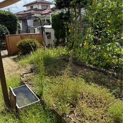 物干し竿の画像