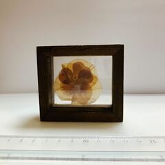 押し花の置物（２種類セット）の画像
