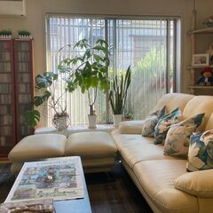 🍁 忙しいあなたのためのアロマ瞑想会 - ワークショップ