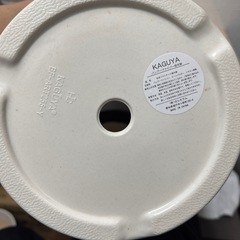 胡蝶蘭　KAGUYA バンブーファイバー植木鉢の画像