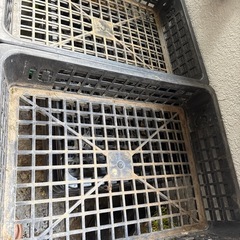育苗トレー , カゴトレー,苗ポット入れケース　園芸　野菜　の画像