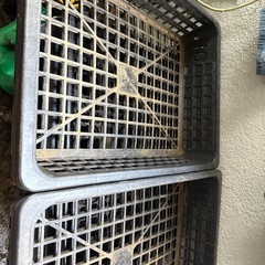 育苗トレー , カゴトレー,苗ポット入れケース　園芸　野菜　の画像