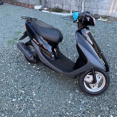 ホンダライブDIOの画像