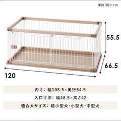 ケージの画像