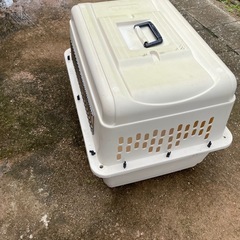 ペットキャリー　中古品の画像