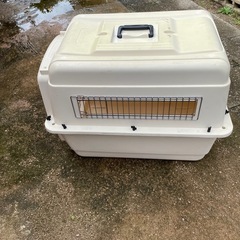 ペットキャリー　中古品の画像