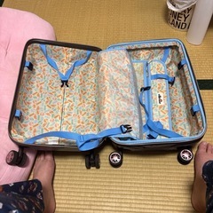 キャリアばっぐバッグの画像