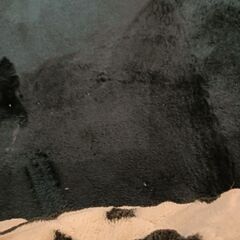 カーペット　ほぼ新品の画像