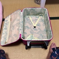 ミッキーマウスキャリアばバッグの画像