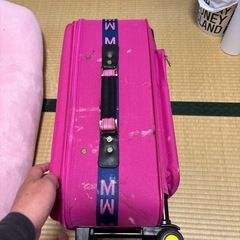 ミッキーマウスキャリアばバッグの画像