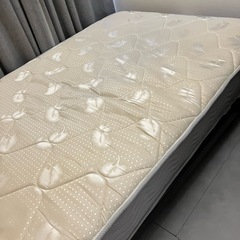 セミダブル マットレス 幅120cm ポケットコイル EN101P ダブル シングル マッの画像