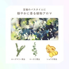 オーガニックシャンプートリートメントの画像