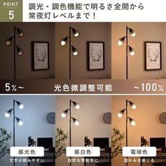 間接照明　スタンドの画像