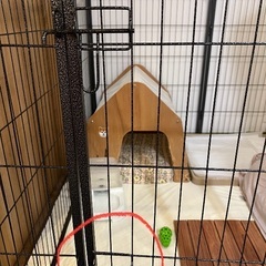ペット　ゲージ　大型犬用の画像