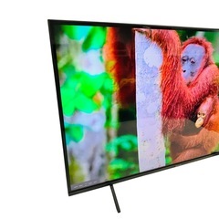 Panasonic 4Kダブルチューナ内蔵 液晶テレビ 24年 Netflixの画像