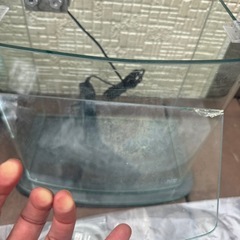 アクアシステムルノアール　250  水槽
の画像