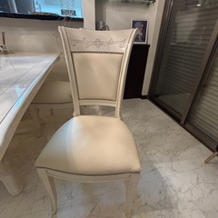 サルタレッリ　ダニエル　送料込み　の画像