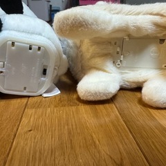 喋るパンダ　動く犬の画像
