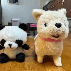 喋るパンダ　動く犬の画像