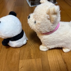 喋るパンダ　動く犬の画像