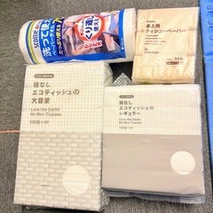 ティッシュペーパー パストラル エコティッシュ ペーパータオル 卓上用 保湿の画像