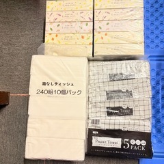 ティッシュペーパー パストラル エコティッシュ ペーパータオル 卓上用 保湿の画像
