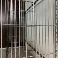 引取先決定！　3段スチールラックの画像