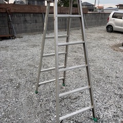 ●６段脚立●の画像