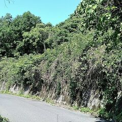 No.J838【鹿児島県垂水市中俣】土地（山林）3筆あげま…