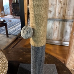 猫の寝床と爪研ぎせセットの画像